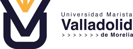 Aula Virtual Valladolid