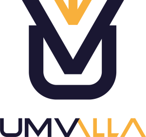 AulaVirtualValladolid